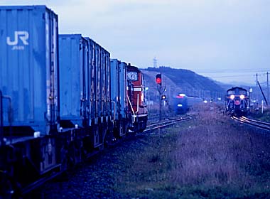 �O�b�����I