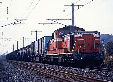 �R�L�t��(^^)��