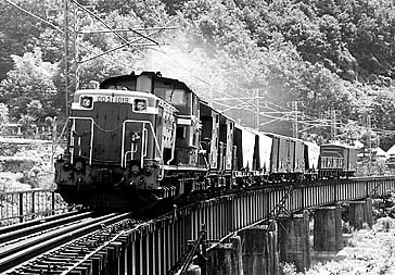 �������E1019���@