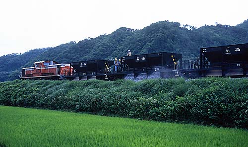 �������]�v�ɎT���Ă���܂��I�i�R�j