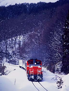 745+�V���t�B�[�h