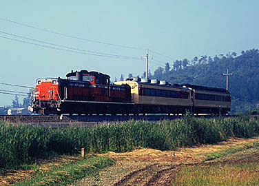 ���񂾁I�݁����I�u�L�n�E�L�n�I�v