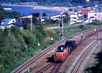 �L�Y����