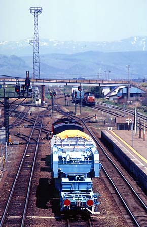 �������A���F�ƌ����I(��)