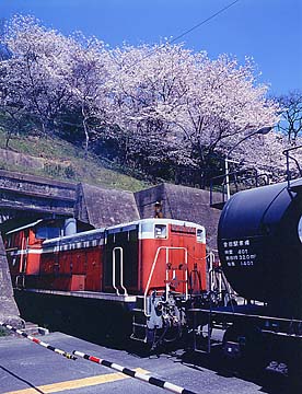 �g���l���ɃY�{�b