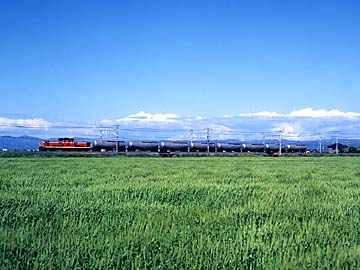 ������`����