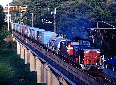 �N���{�N����