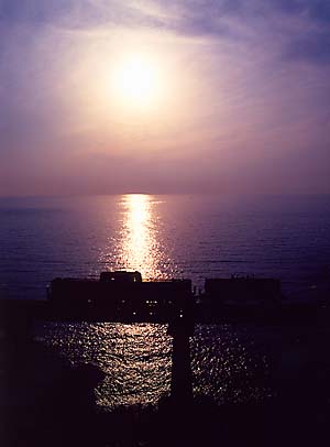 ���O���r�[�[�[�[���I