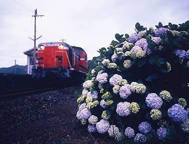 �����������Ĕ��������c