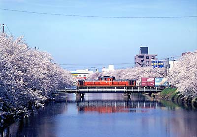 �������̂P