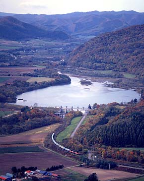 ���ː��̑����