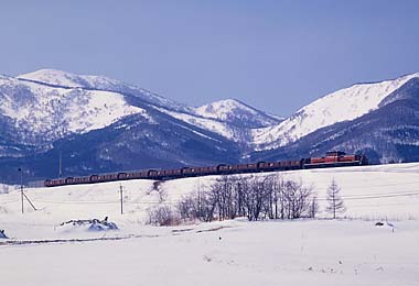 �L���`���V��