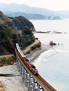 �F�c���̃R���N�����@50�n�d�A